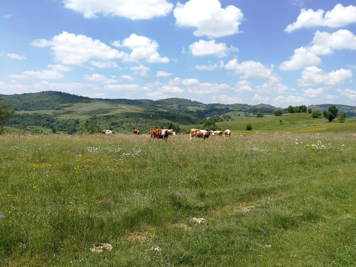 Drveni Raj Uvac Διαμέρισμα Sjenica Εξωτερικό φωτογραφία